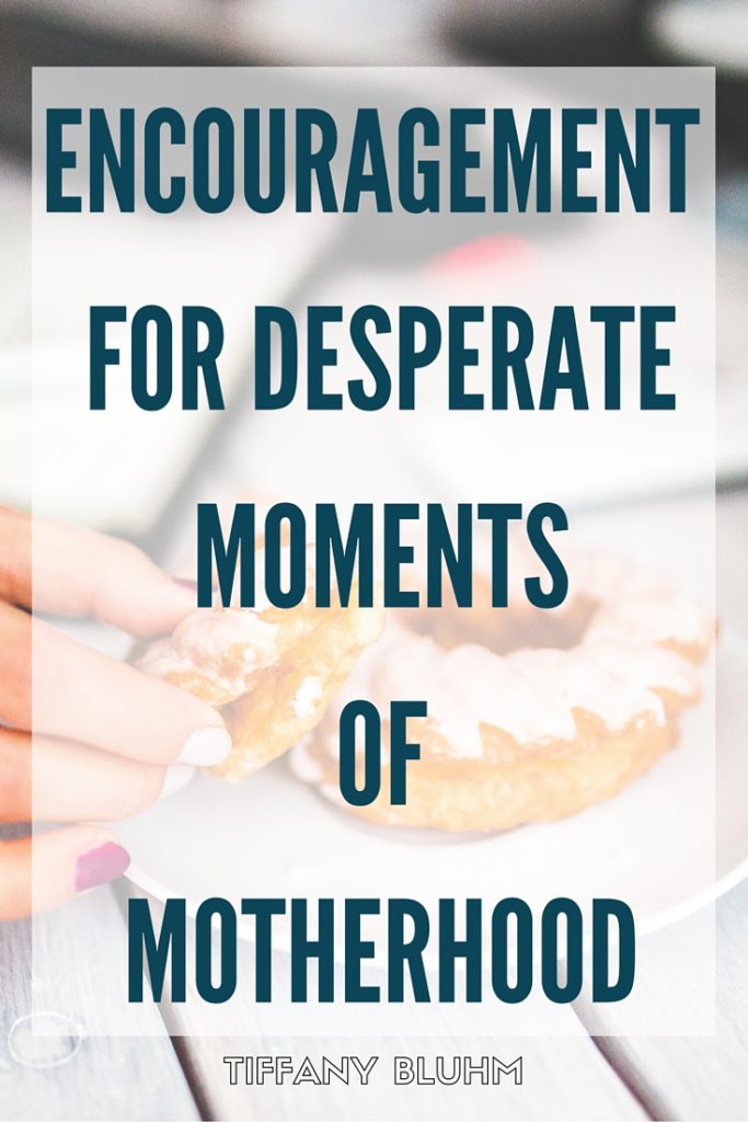 DESPERATE MOMENTS OF MOTHERHOOD