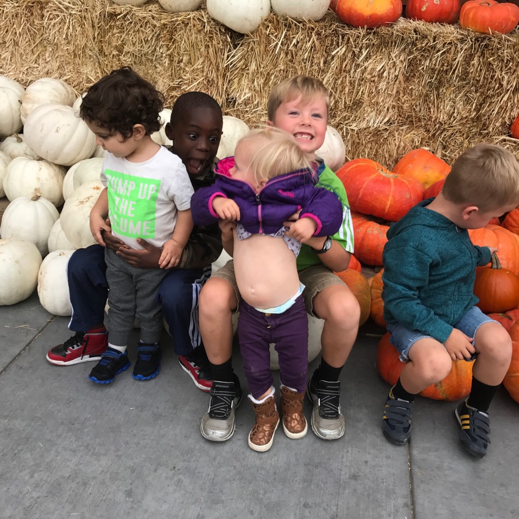 pumpkin patch